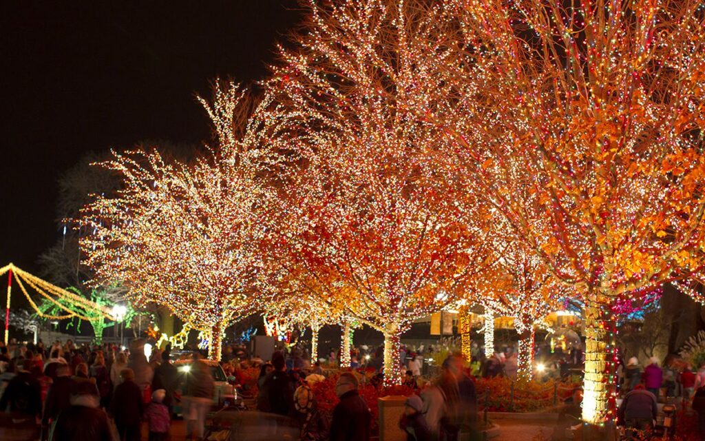 Lincoln Park Zoo Lights